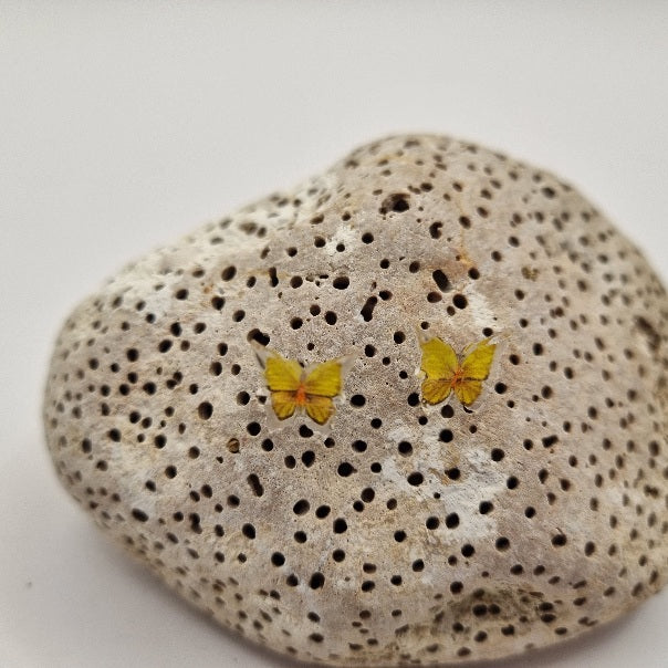 Pendientes de Botón Mariposa de la Suerte