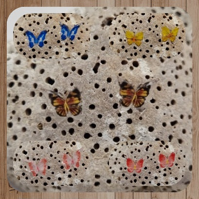 Pendientes de Botón Mariposa de la Suerte