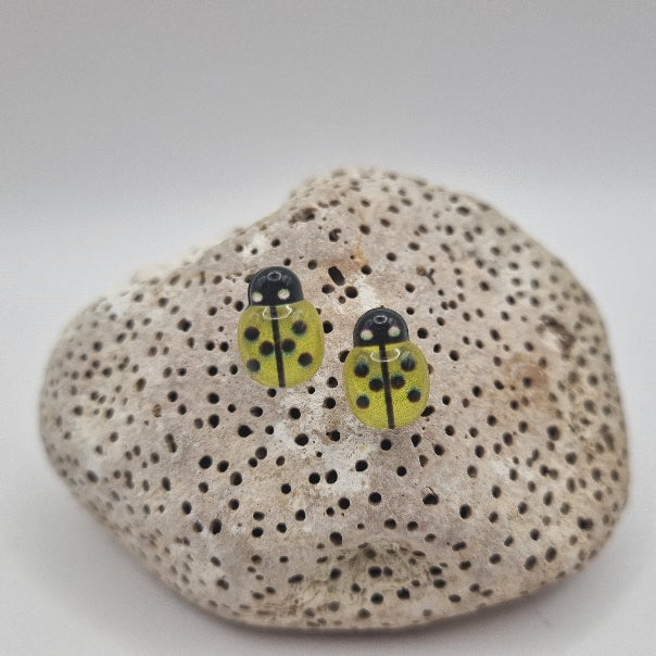 Acero Inoxidable Pendientes de Botón Mariquita de la Suerte