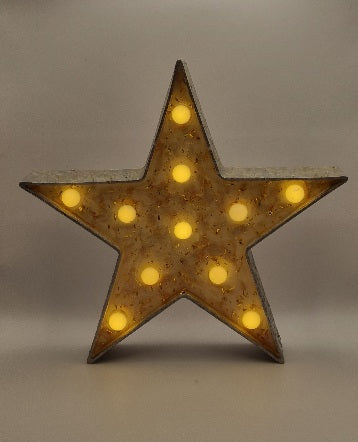 Estrella Decorativa Plateada con Luz, Diseños Únicos!