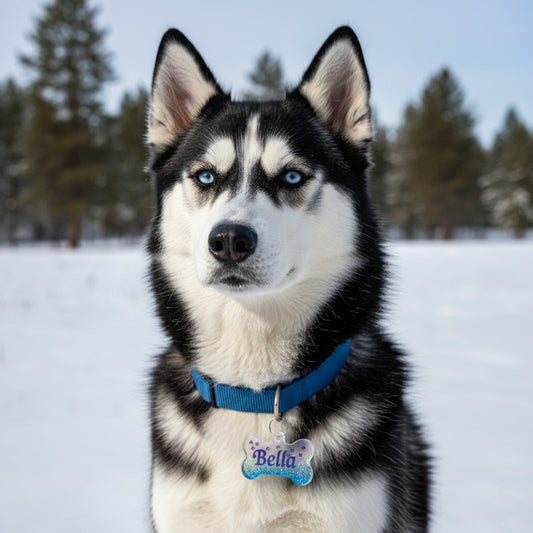 Colgantes ID con Estrellitas, Varios Colores para Mascotas. Personalizados, Diseños Únicos!