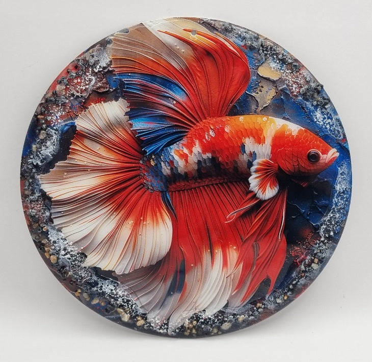 Cuadros de Pez Betta con Piedras Naturales, Diseños Únicos!