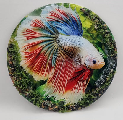 Cuadros de Pez Betta con Piedras Naturales, Diseños Únicos!
