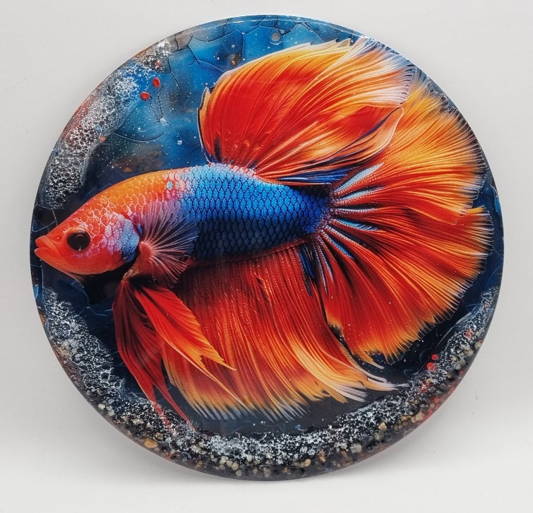 Cuadros de Pez Betta con Piedras Naturales, Diseños Únicos!