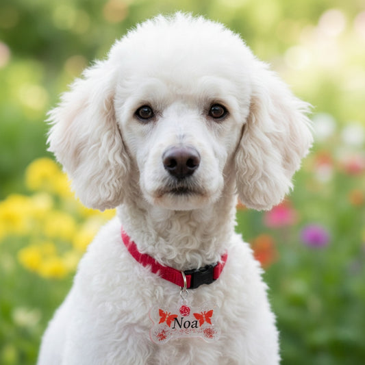 Colgantes ID con Mariposas, Varios Colores para Mascotas. Personalizados, Diseños Únicos!