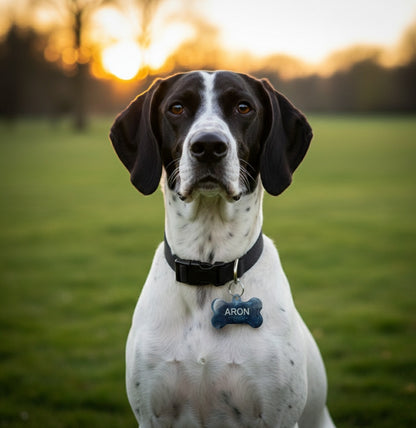 Colgantes ID Marmolado para Mascotas. Personalizados, Diseños Únicos!