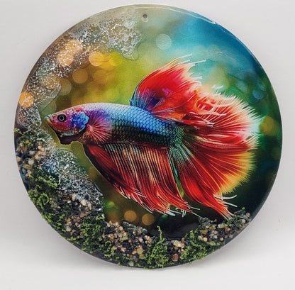 Cuadros de Pez Betta con Piedras Naturales, Diseños Únicos!